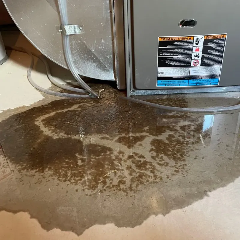 Pipe Burst and Leak Restoration in Catoosa, OK